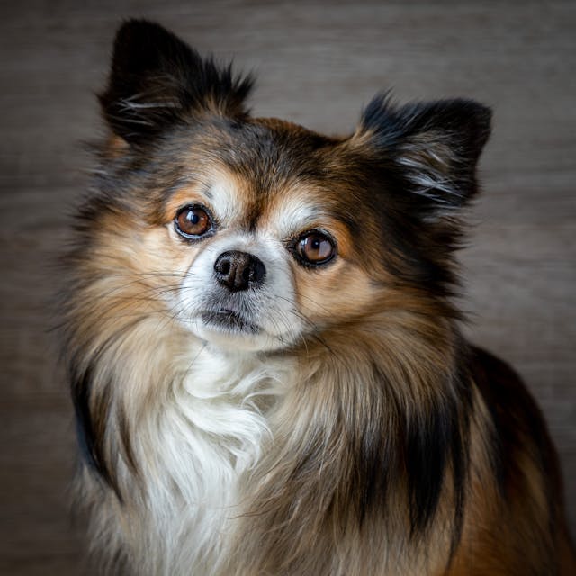 pexels-herry-7538666
